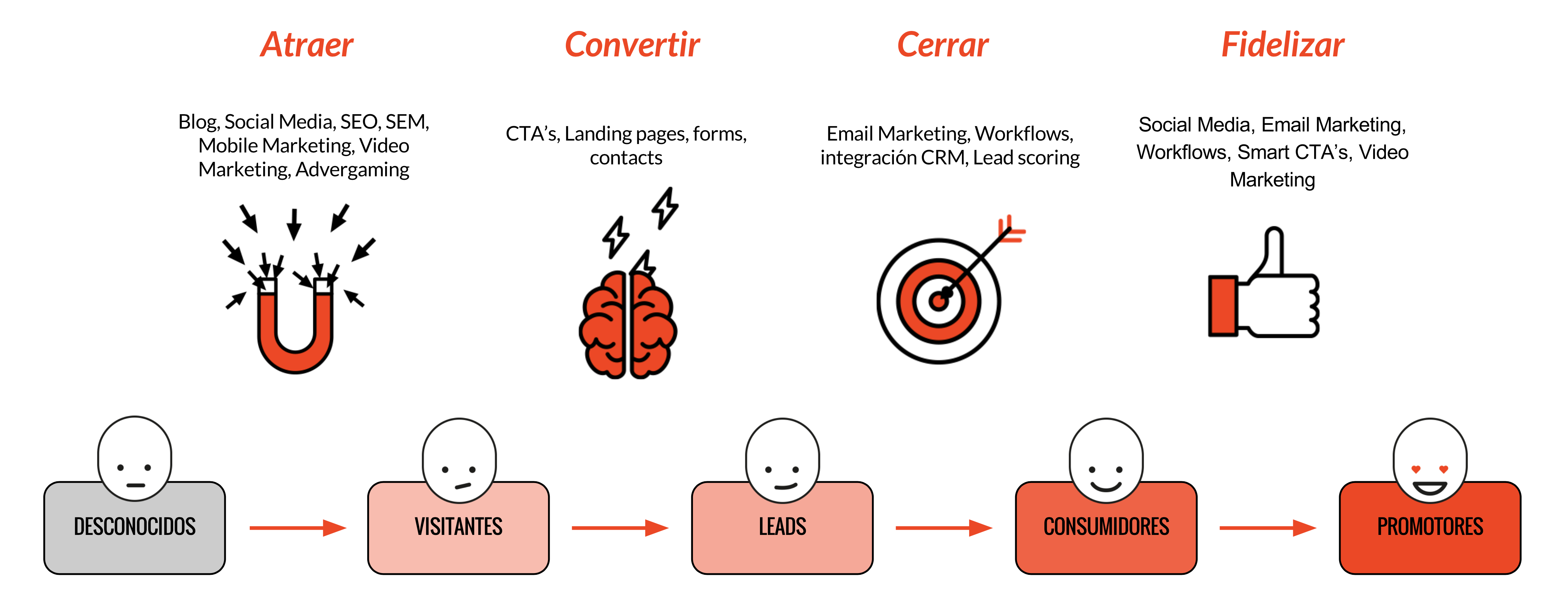 Fases del Marketing Relacional