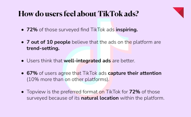 opinione utenti su tiktok ads 